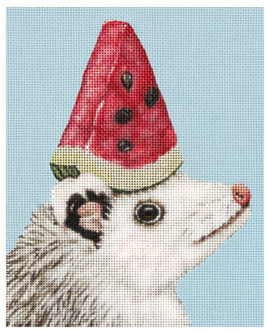 VS349 Watermelon Opossum