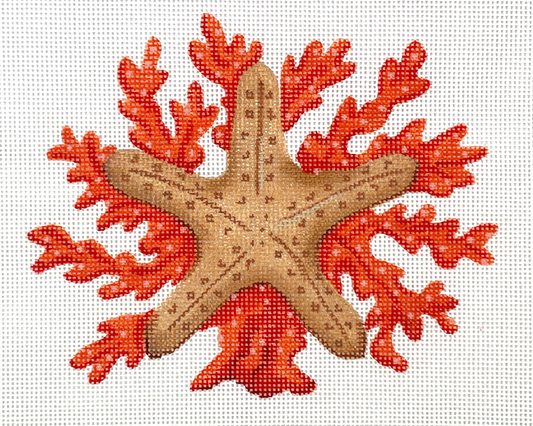 PL-515 Starfish with Coral