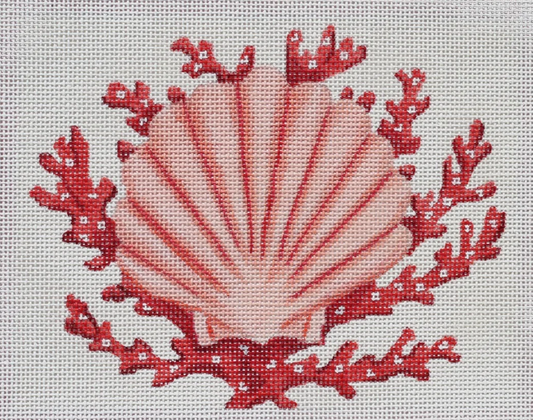 PL-50 Scallop Shell with Coral