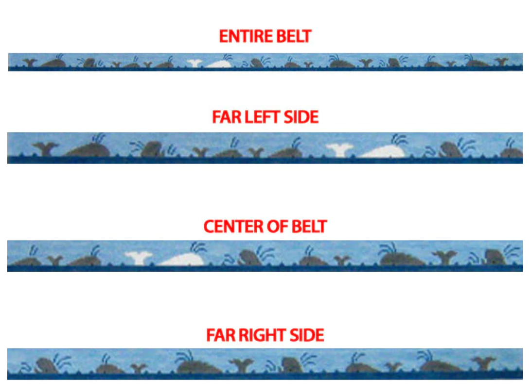 364 Whale Belt The Enriched Stitch