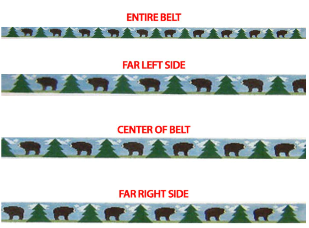 365 Bear Belt