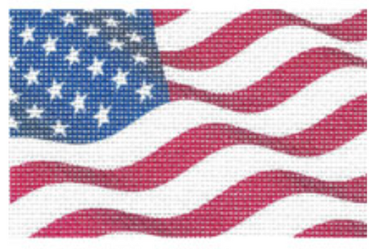 TTPC004 USA Flag Passport Cover