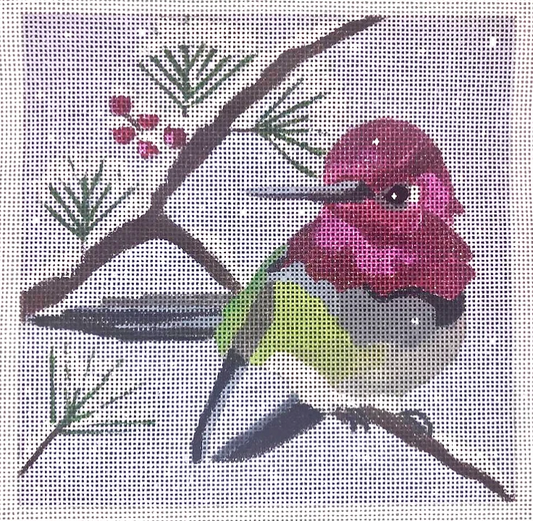 B391 Winter Hummingbird