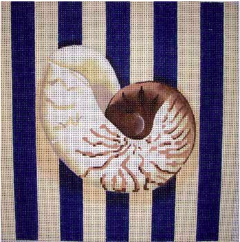D1011 Nautilus Shell Square and Stripes