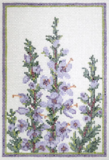 KCN403 Norway Purple Heather